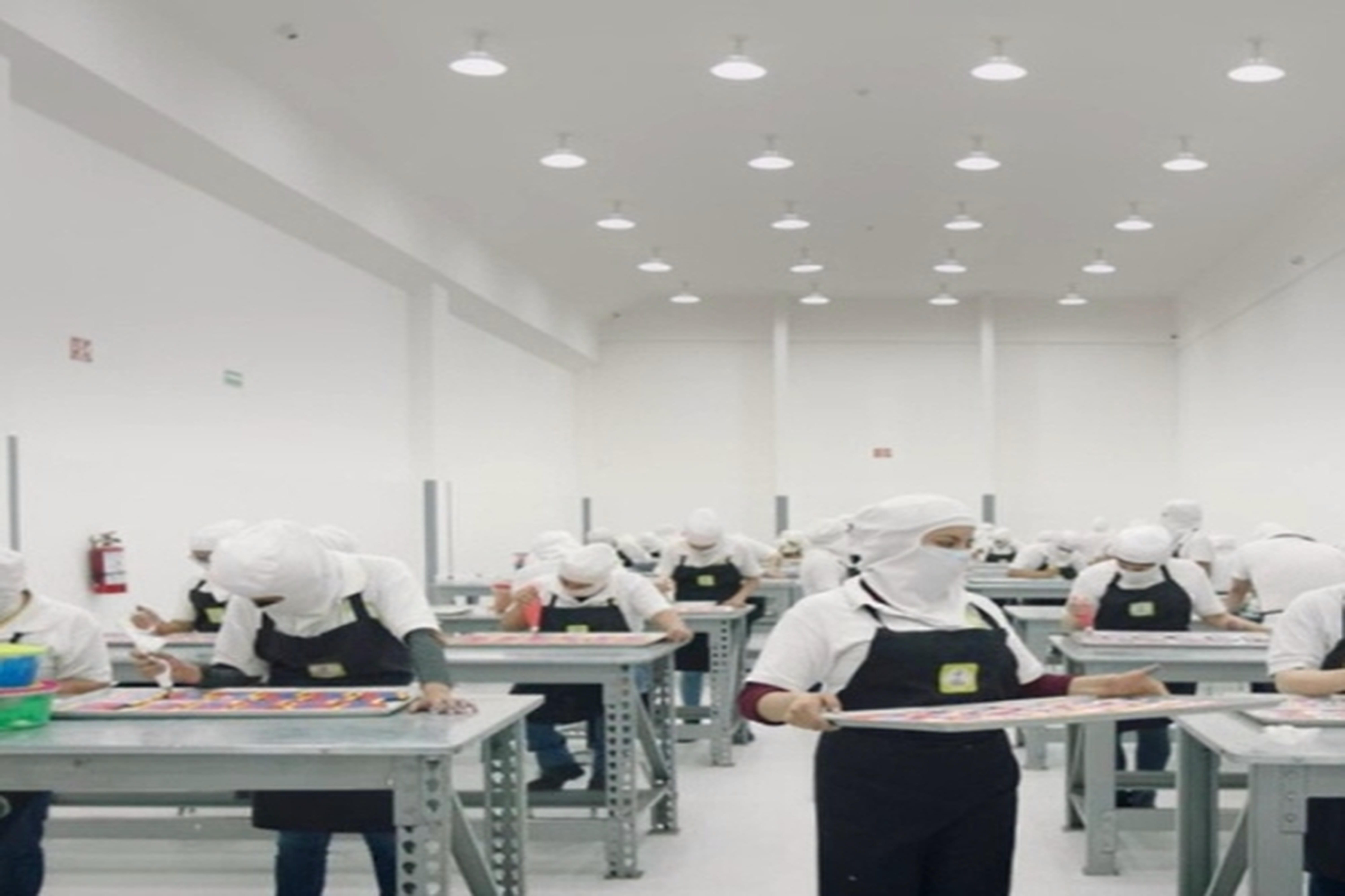Instalación industrial y logística Grupo IXOV